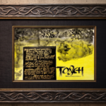 “Touch”